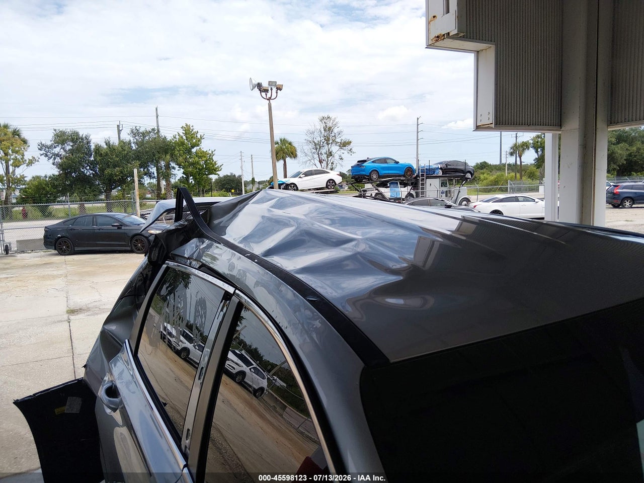 Image 6