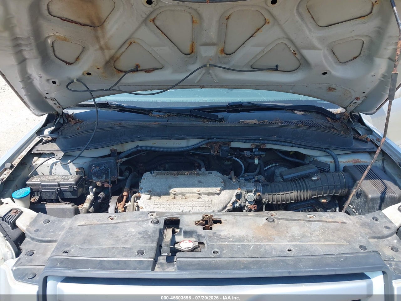 2006 HONDA PILOT EX-L thumbnail 11