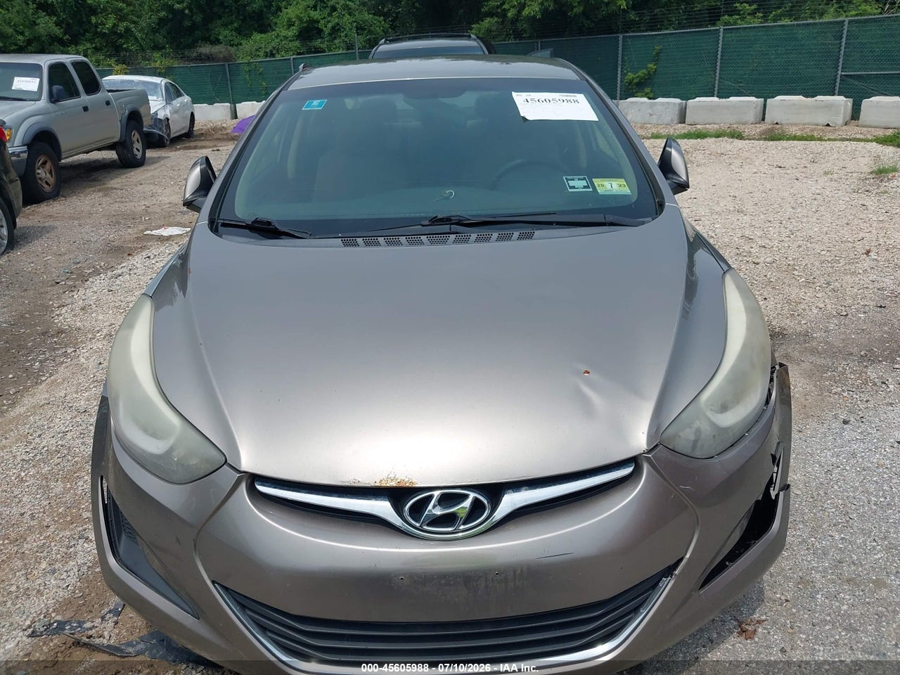 Image 6