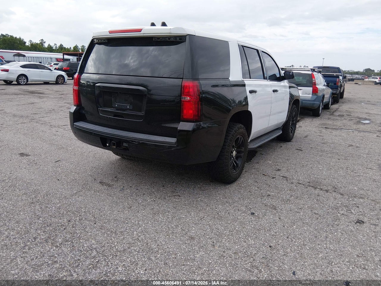 Image 4
