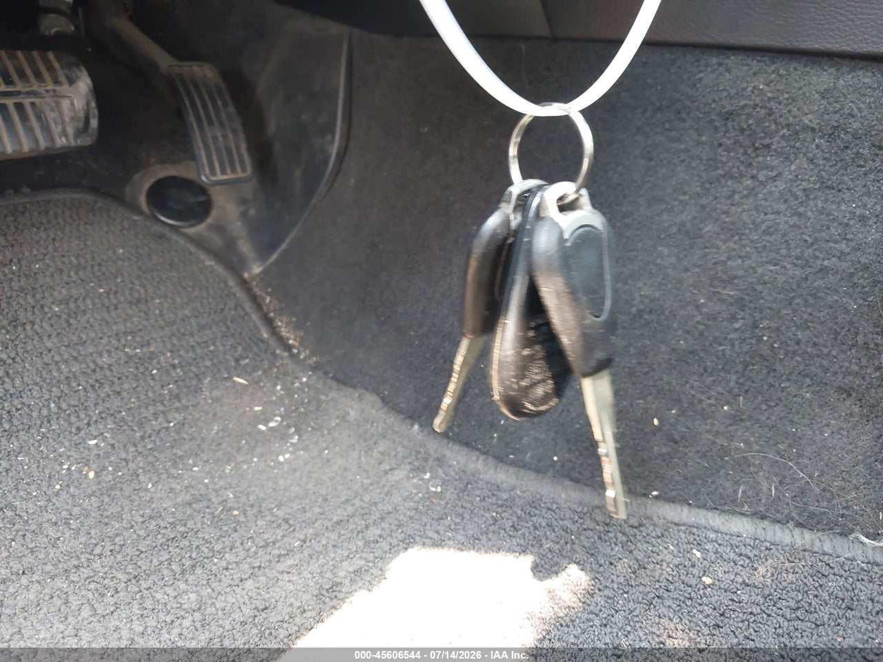 Image 11