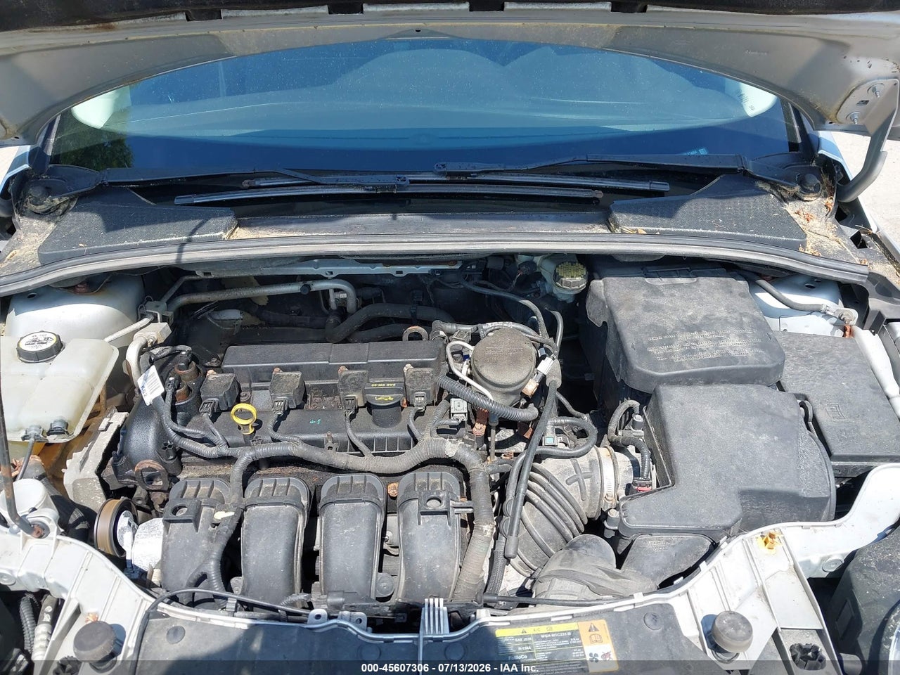 2012 FORD FOCUS SEL thumbnail 11