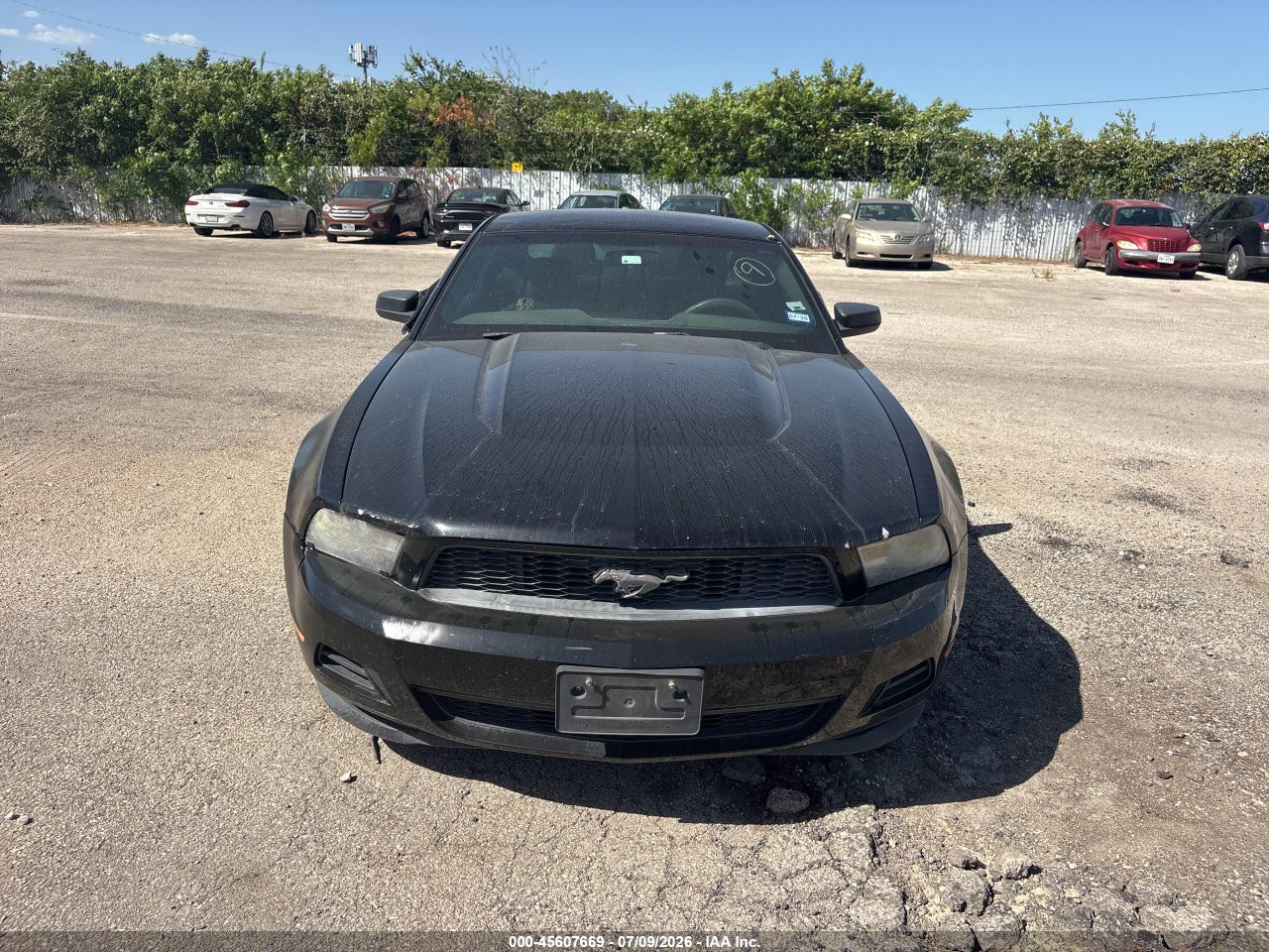 Image 6