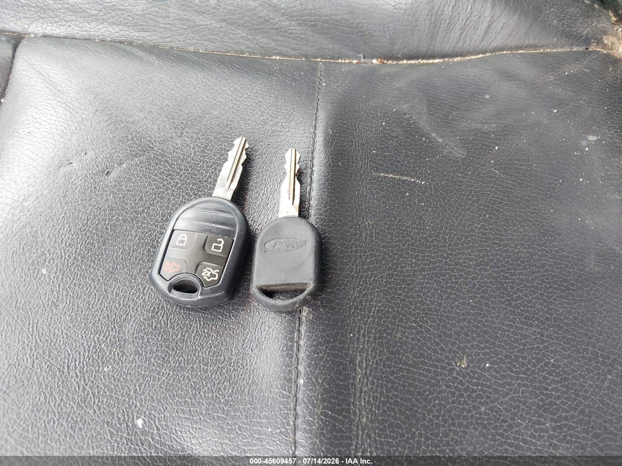 Image 11