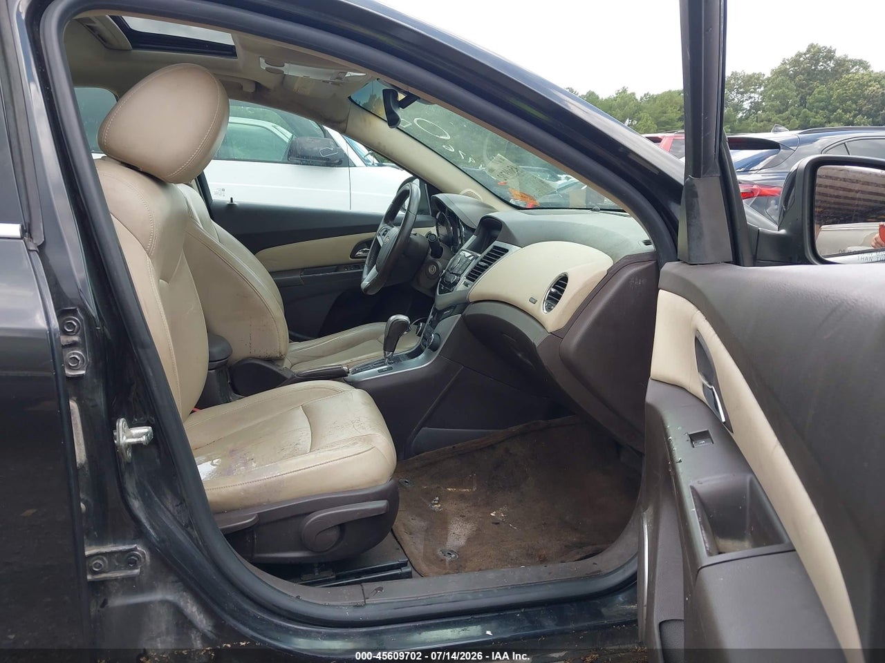 Image 5