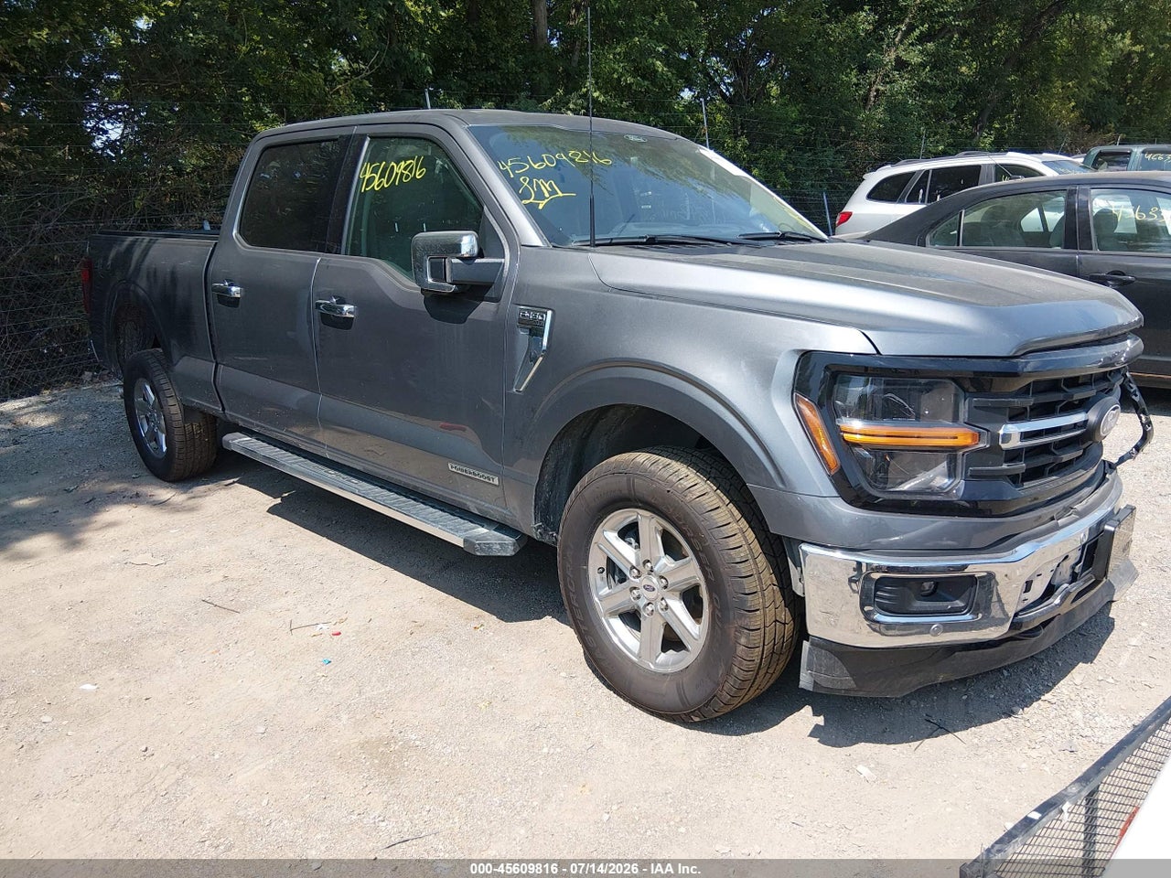 2024 FORD F-150 XLT thumbnail 2