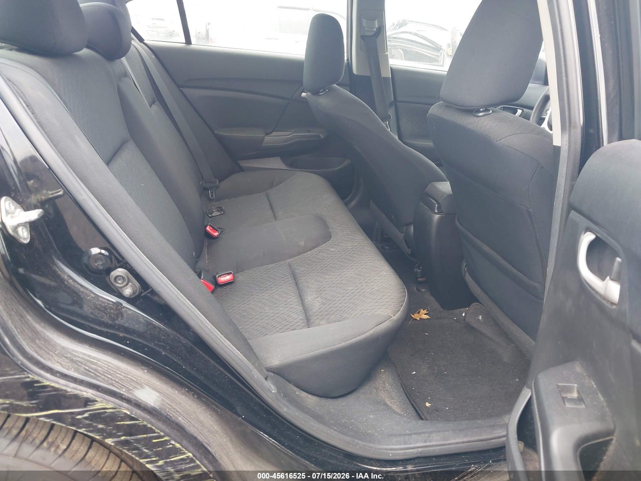 Image 8