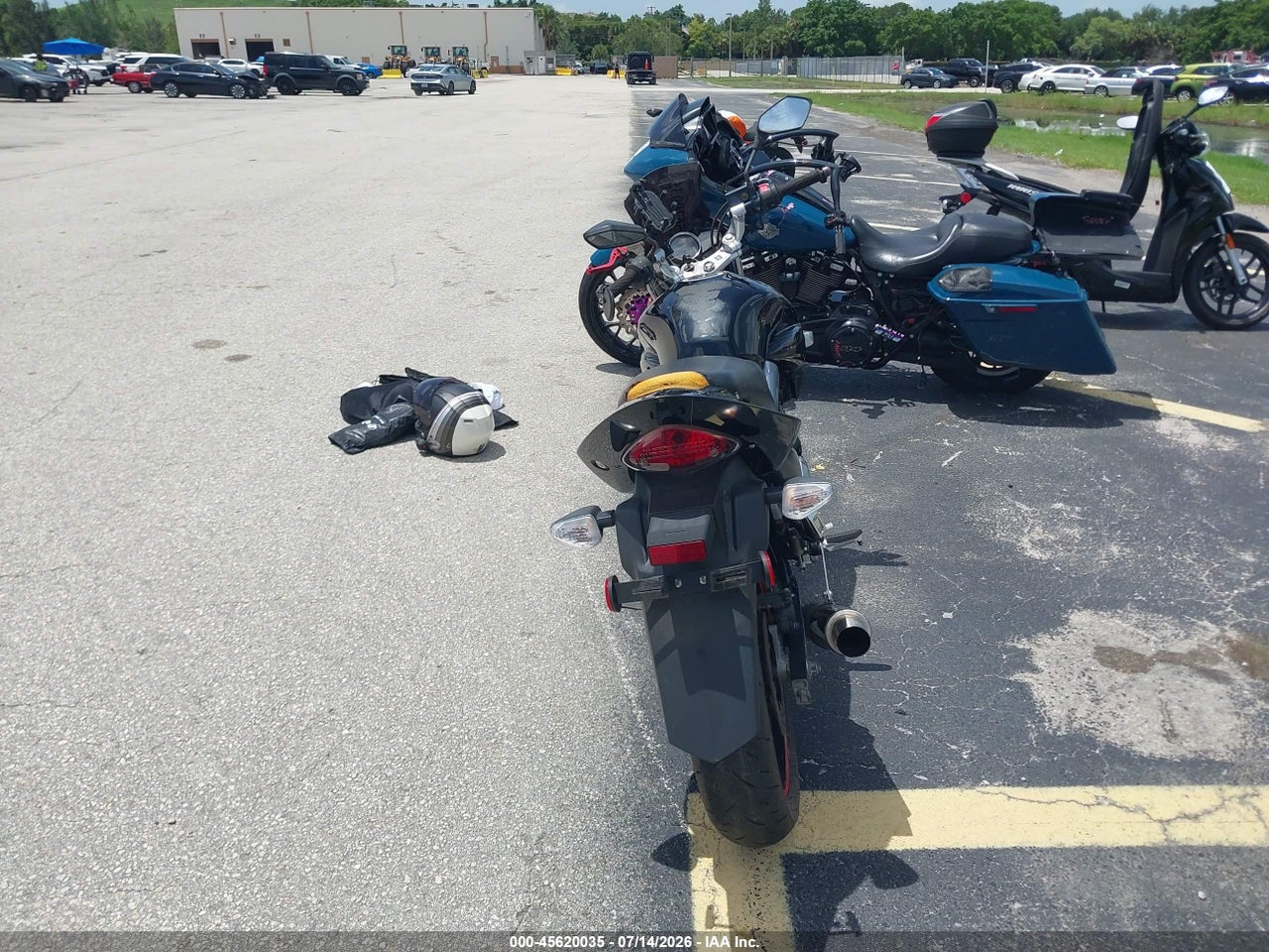 Image 6