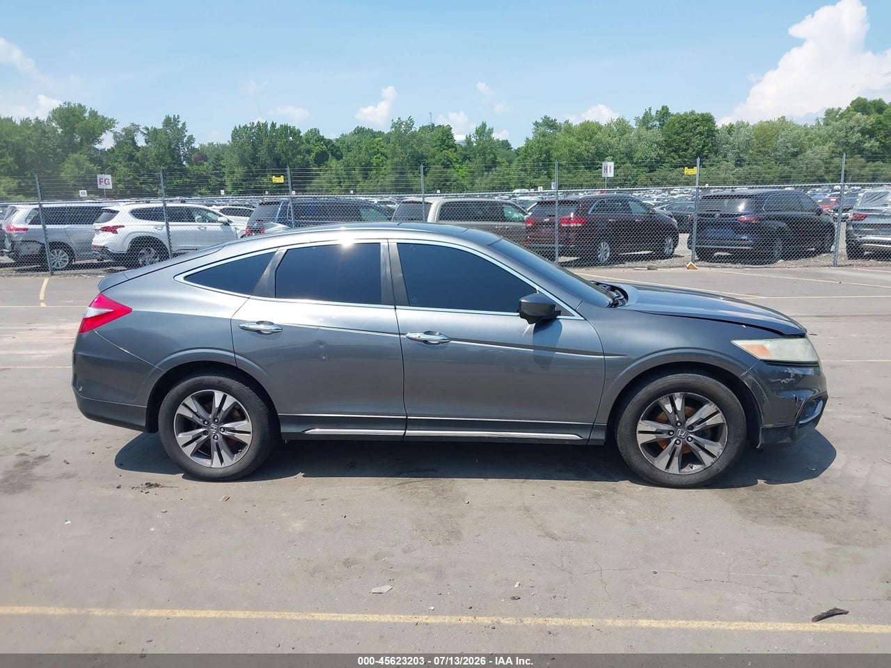 Image 13