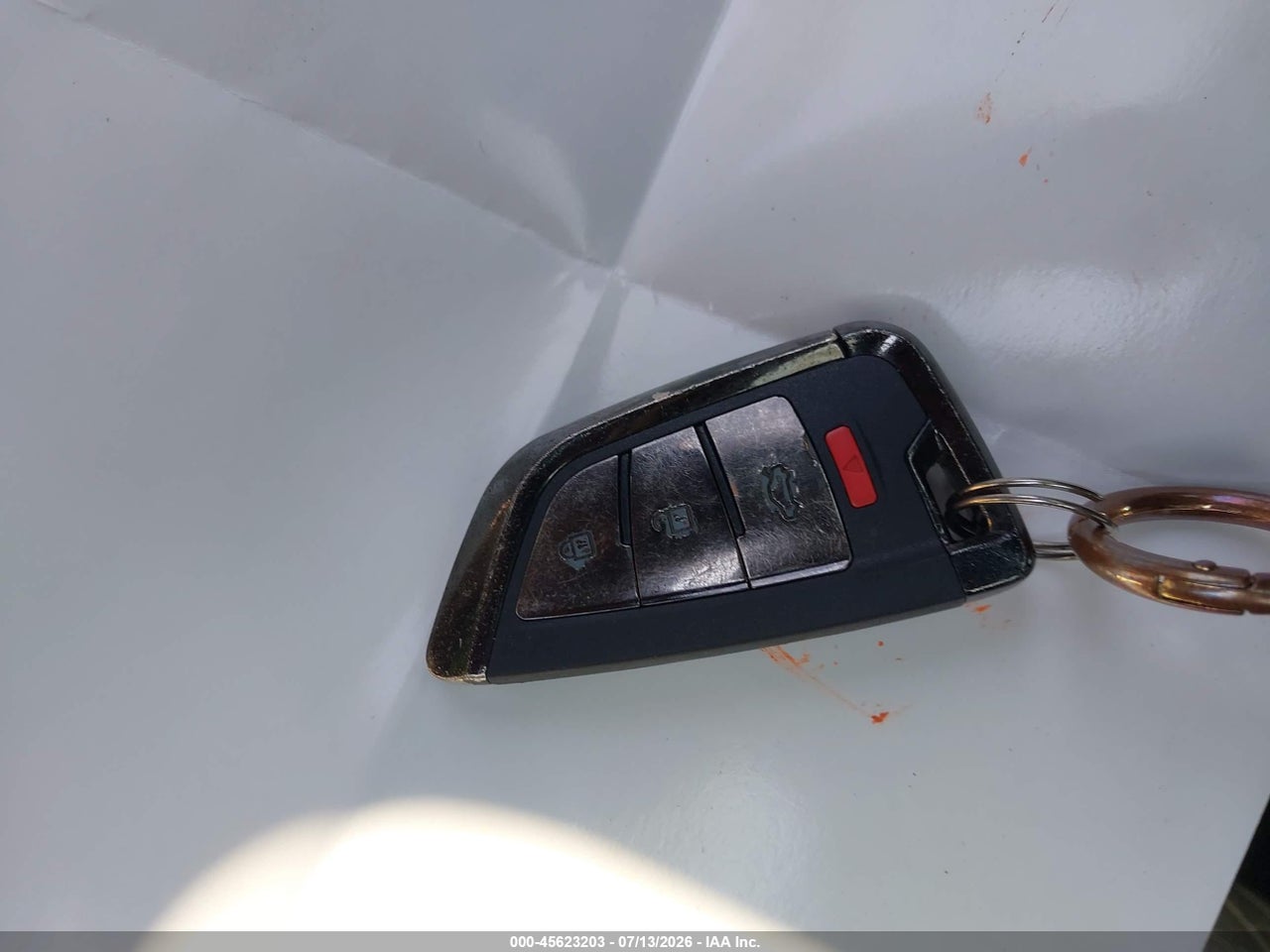Image 11