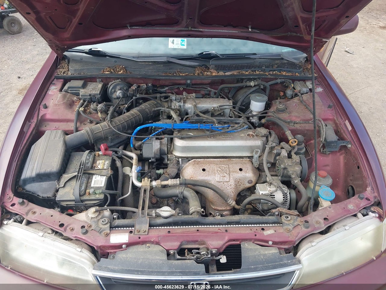 1996 HONDA ACCORD LX thumbnail 11