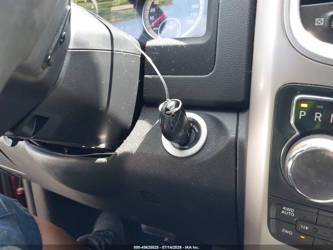 Image 11