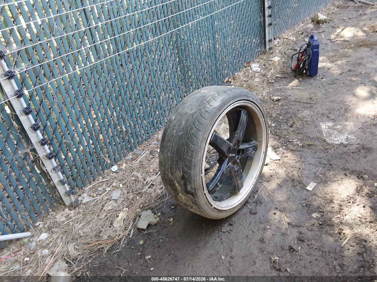 Image 11