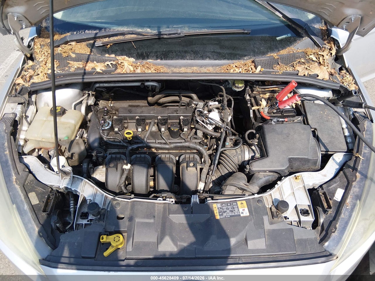 2015 FORD FOCUS SE thumbnail 11