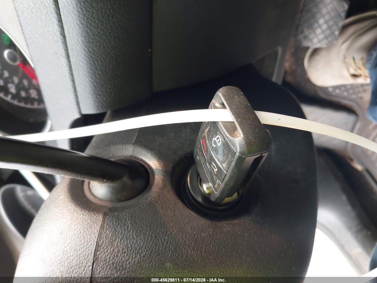 Image 11