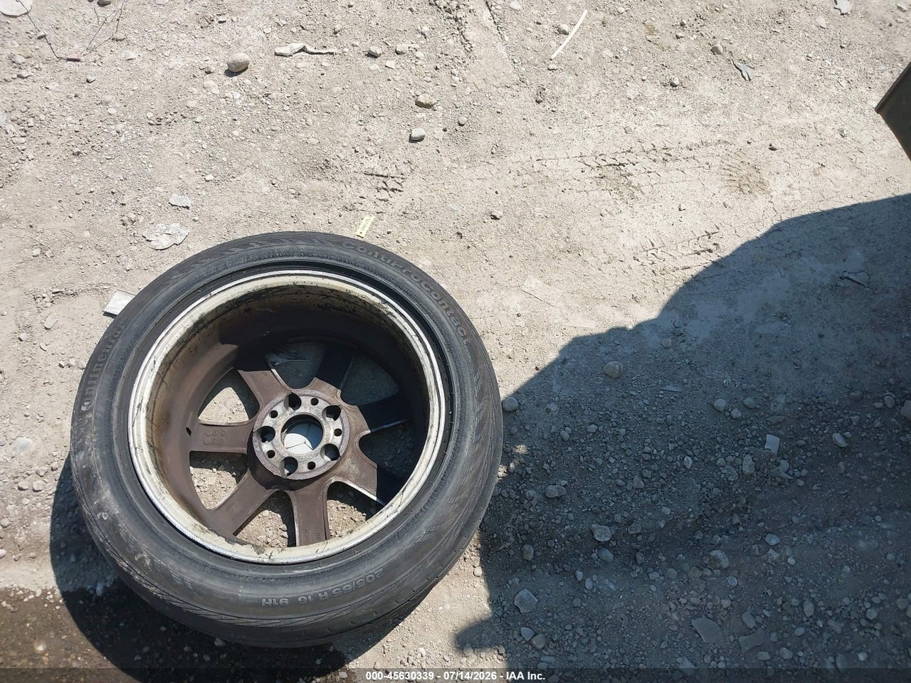 Image 11