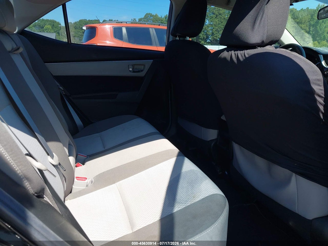 Image 8