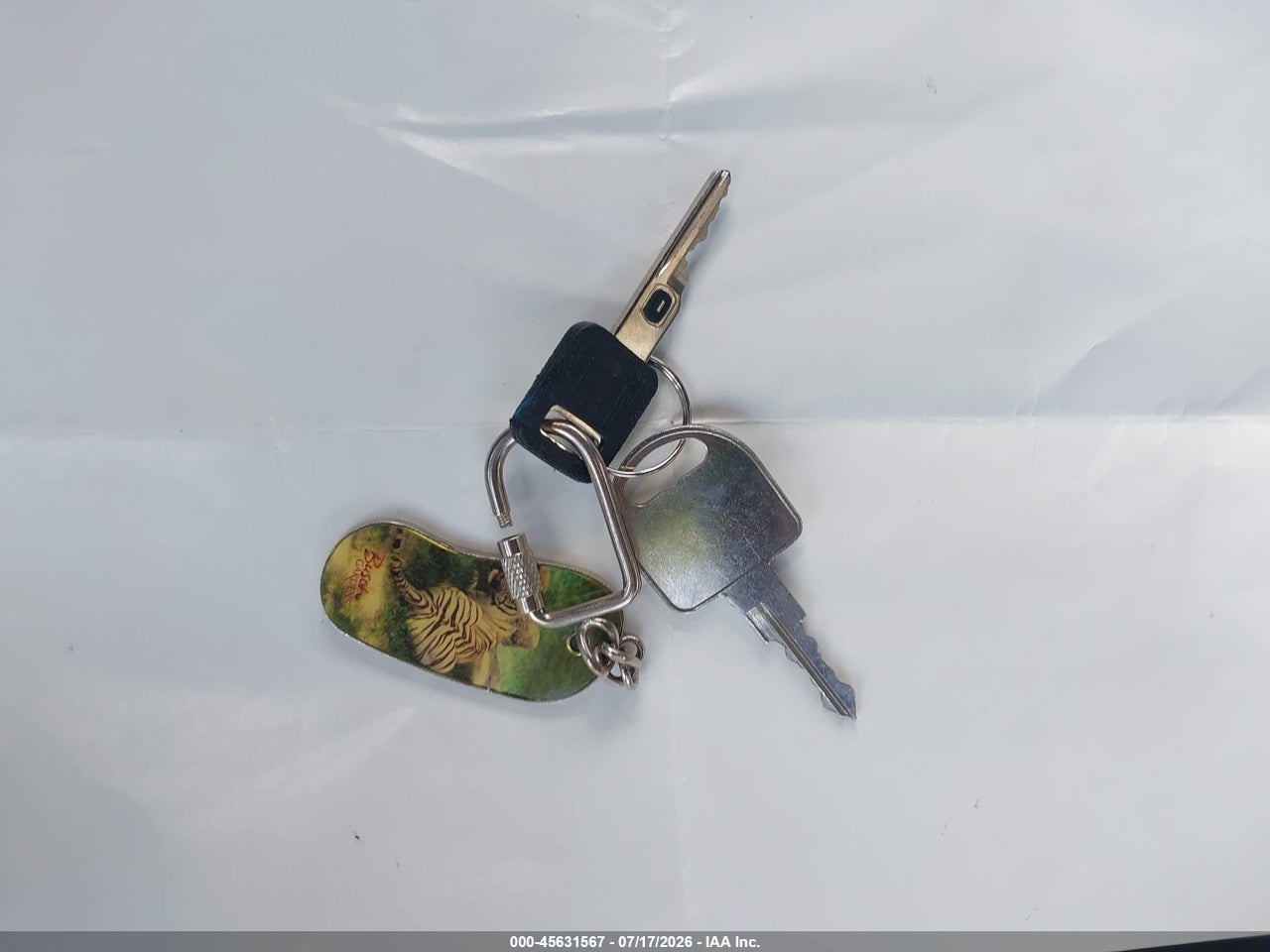 Image 11