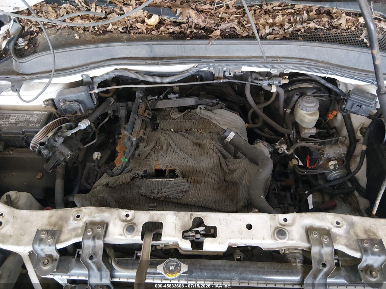 2007 HONDA PILOT EX-L thumbnail 11