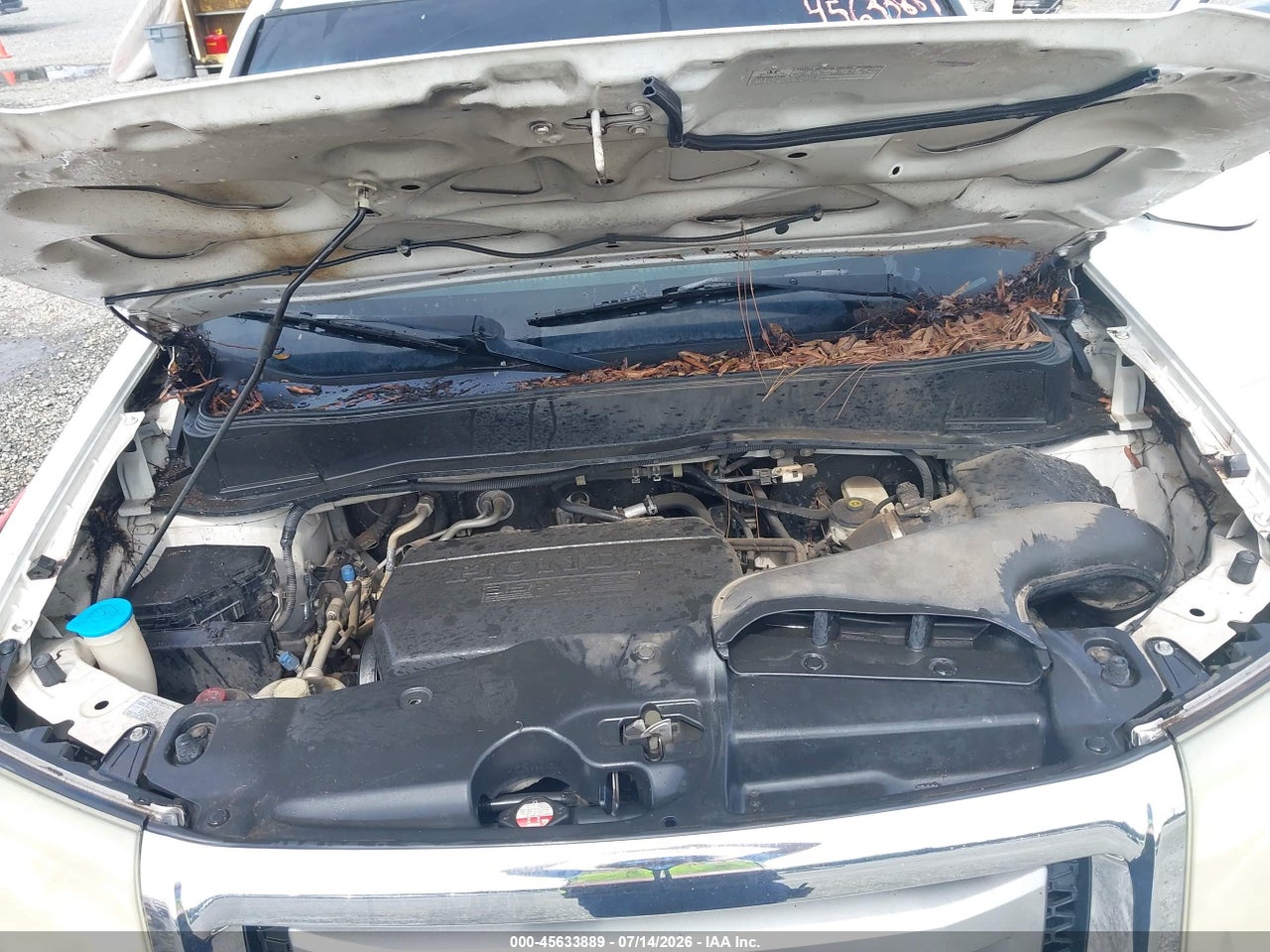 2011 HONDA PILOT EX-L thumbnail 11