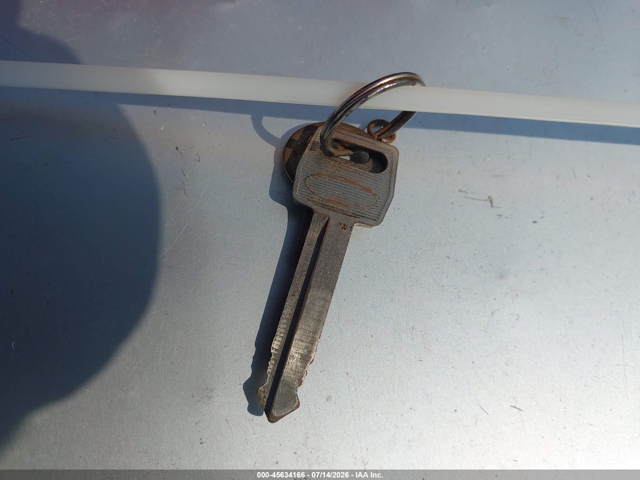 Image 11