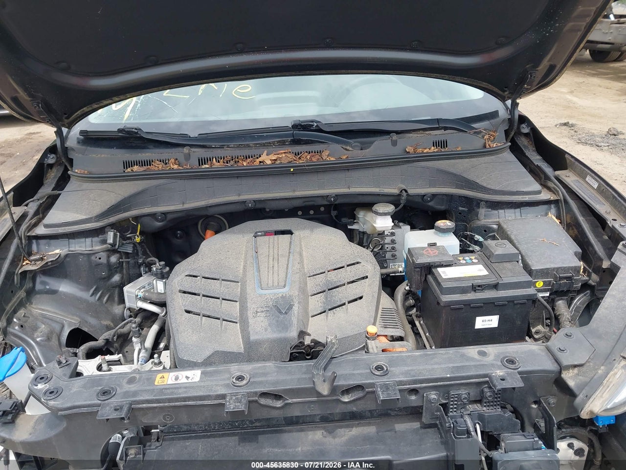 Image 10