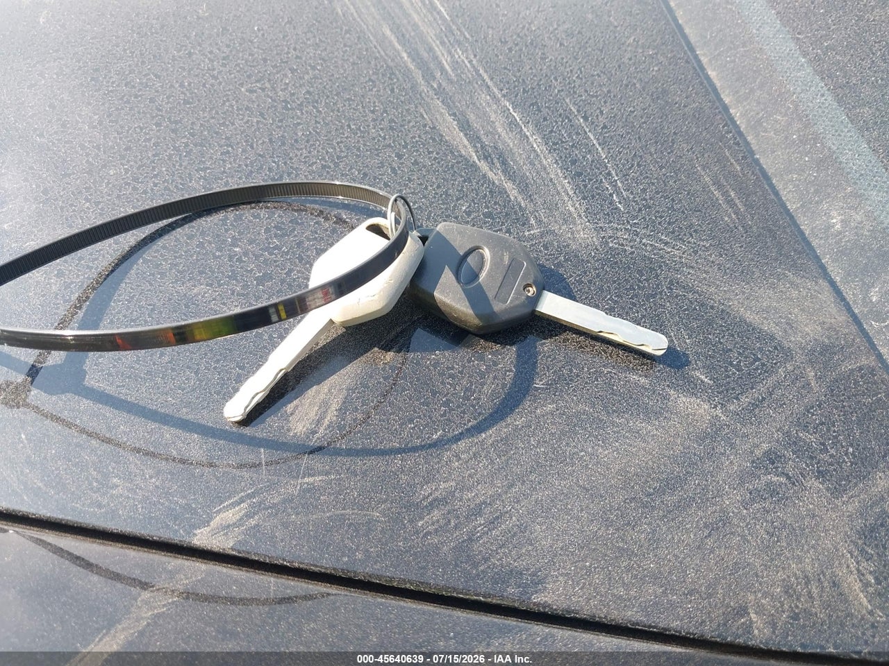Image 11