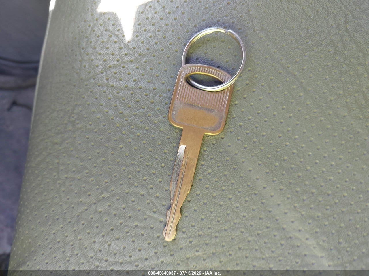 Image 11