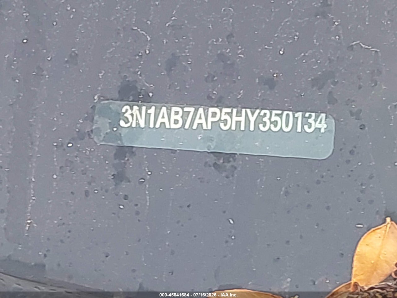 Image 9