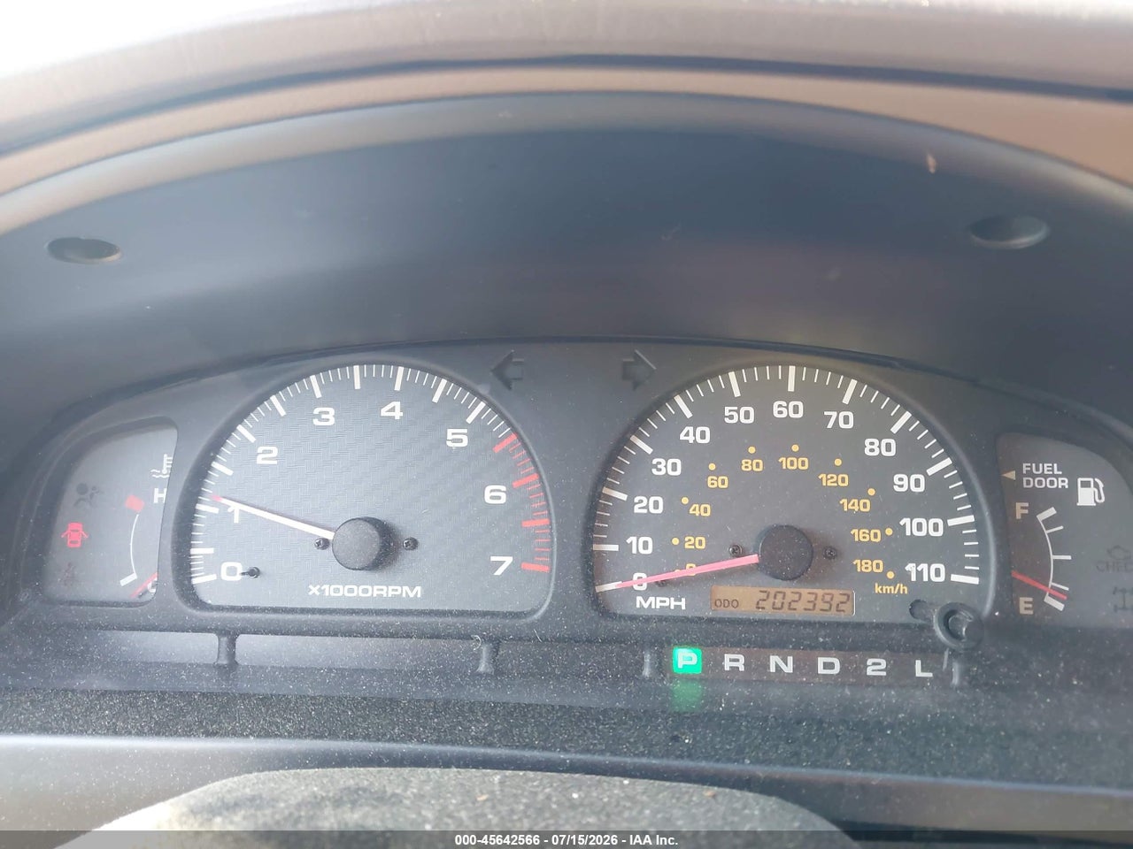 Image 7