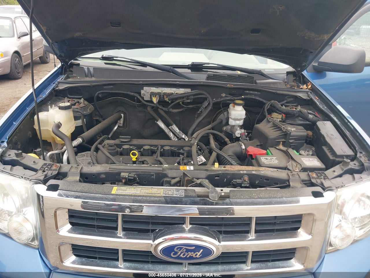 2010 FORD ESCAPE XLT thumbnail 11