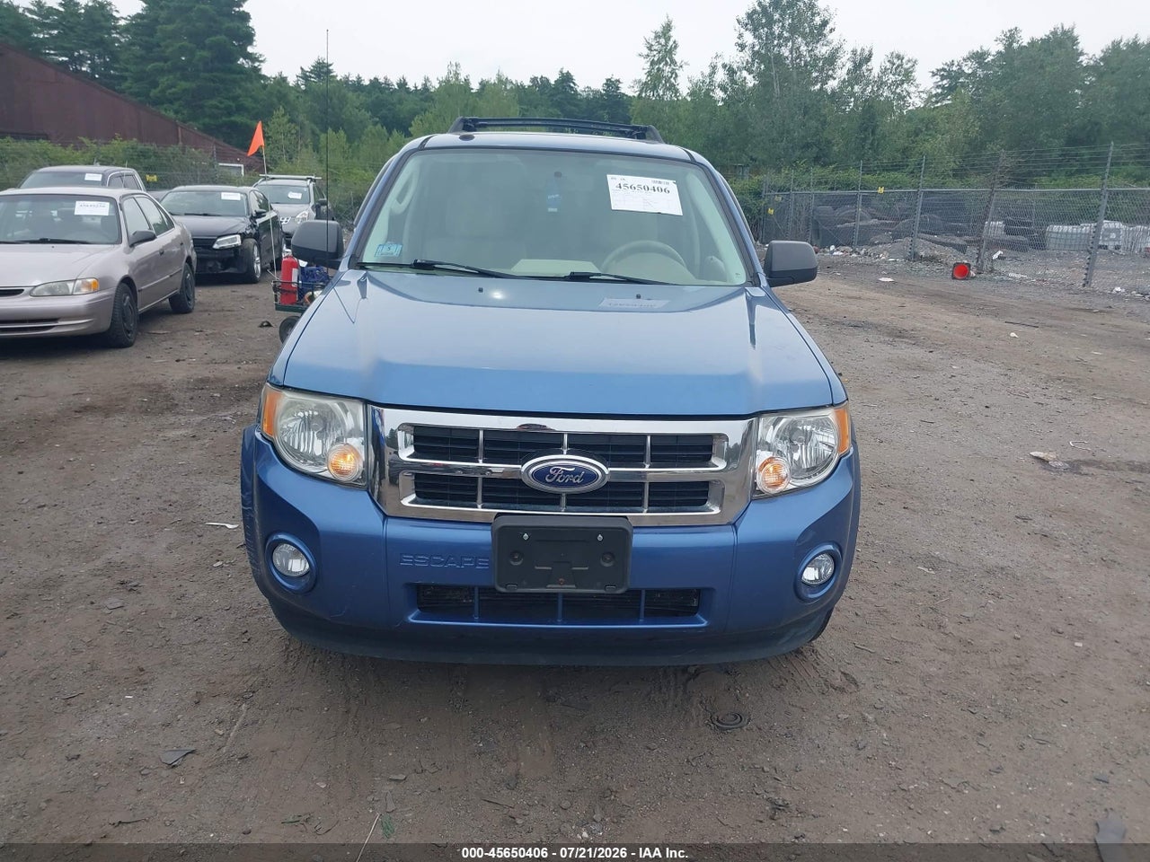 2010 FORD ESCAPE XLT thumbnail 7
