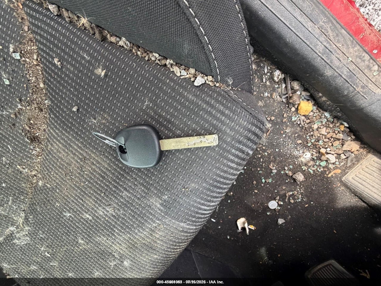 Image 11