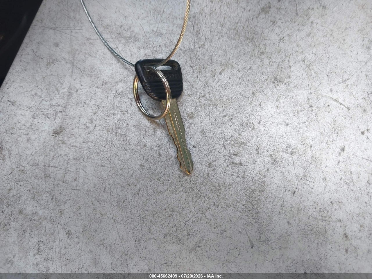 Image 11