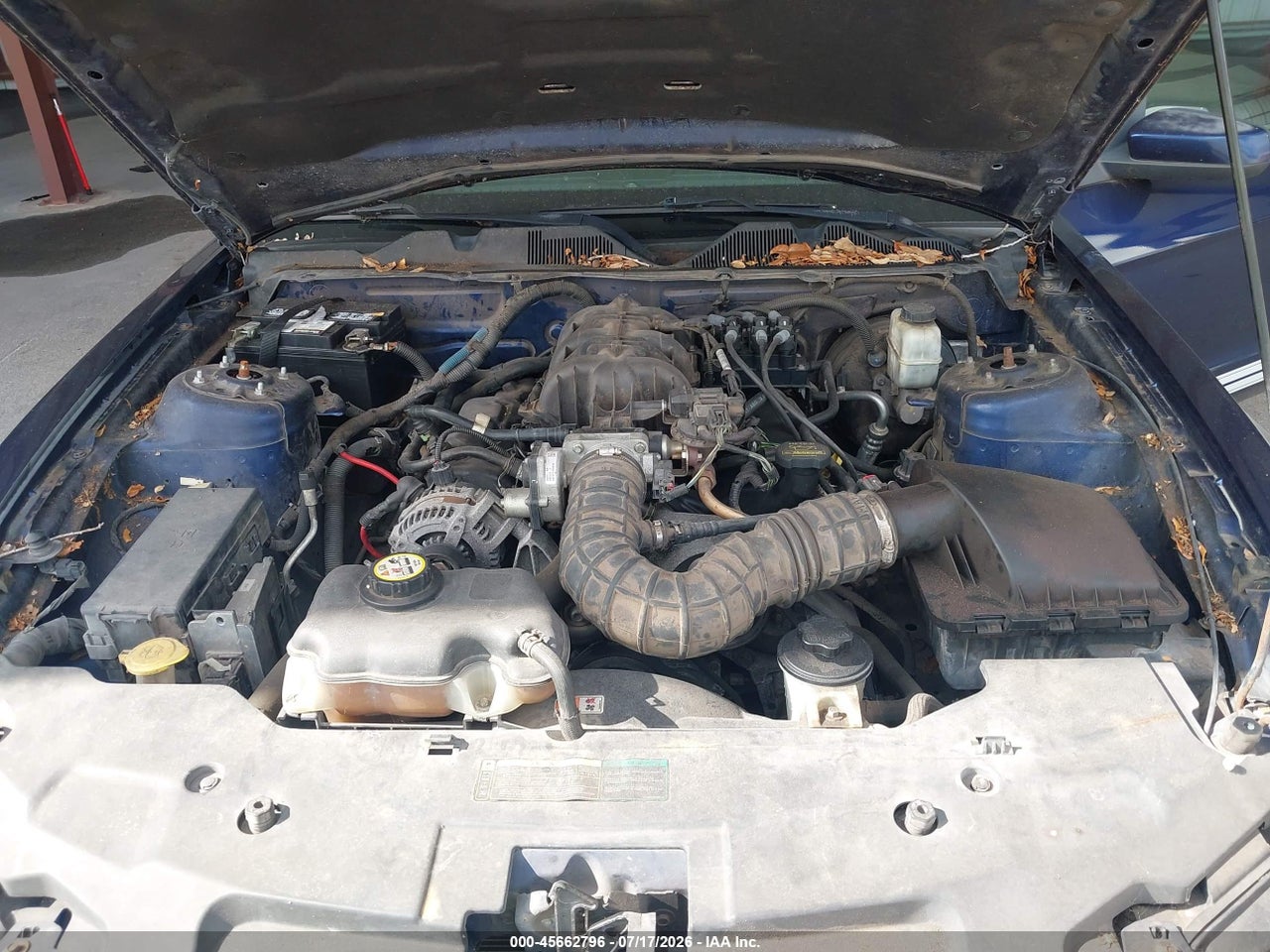 2010 FORD MUSTANG V6/V6 PREMIUM thumbnail 11