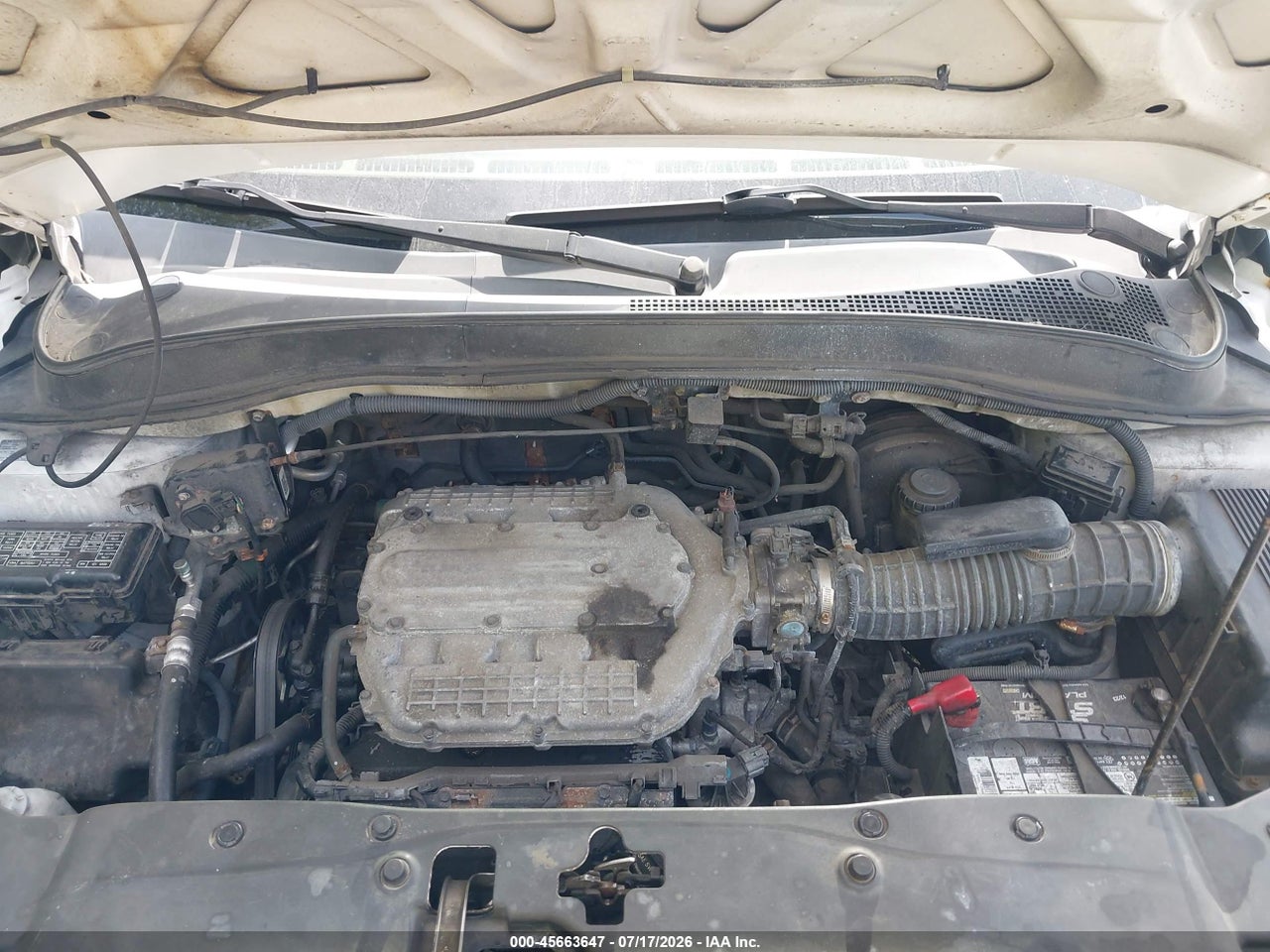 2008 HONDA PILOT EX-L thumbnail 11
