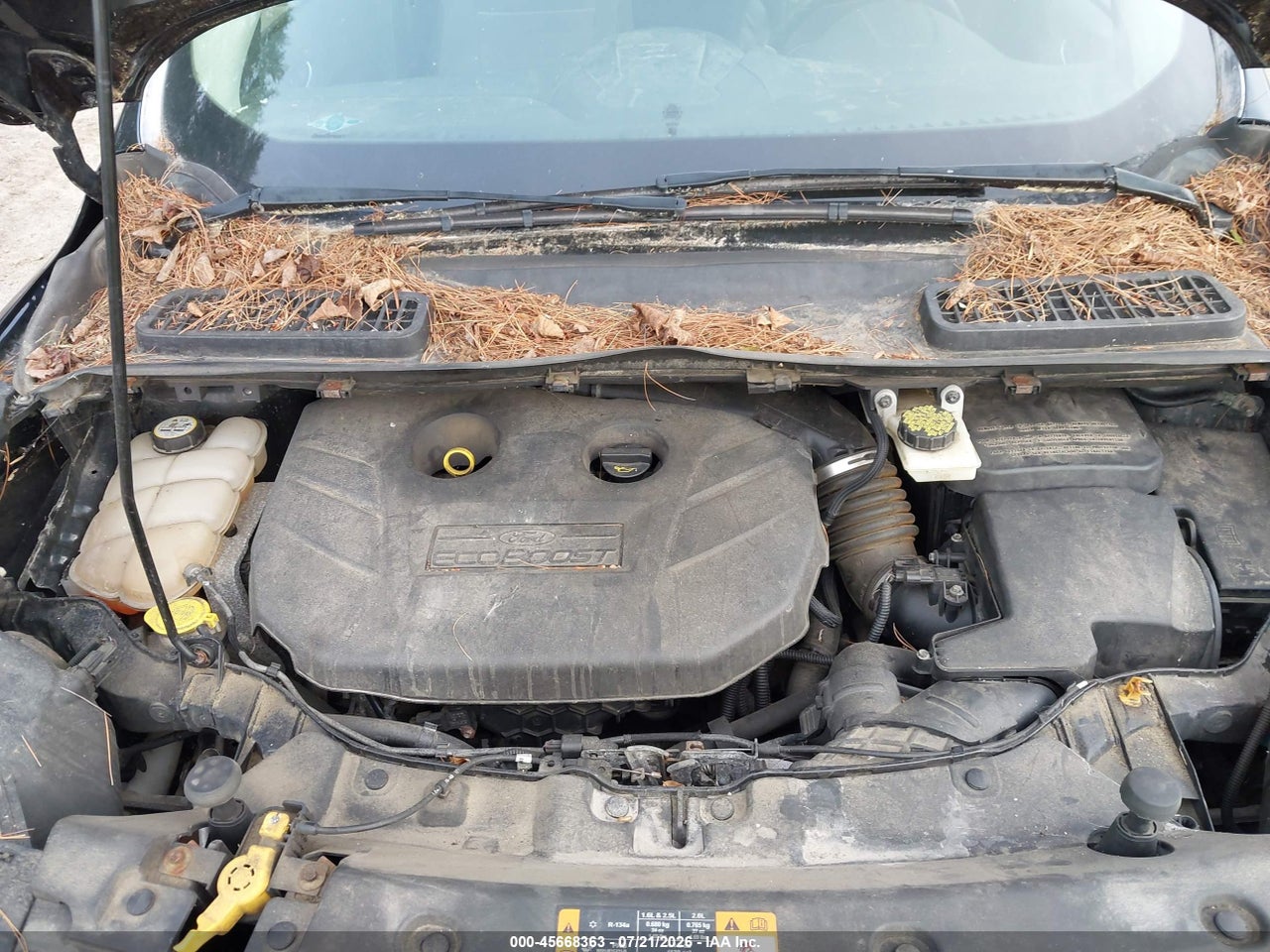 2013 FORD ESCAPE SE thumbnail 11