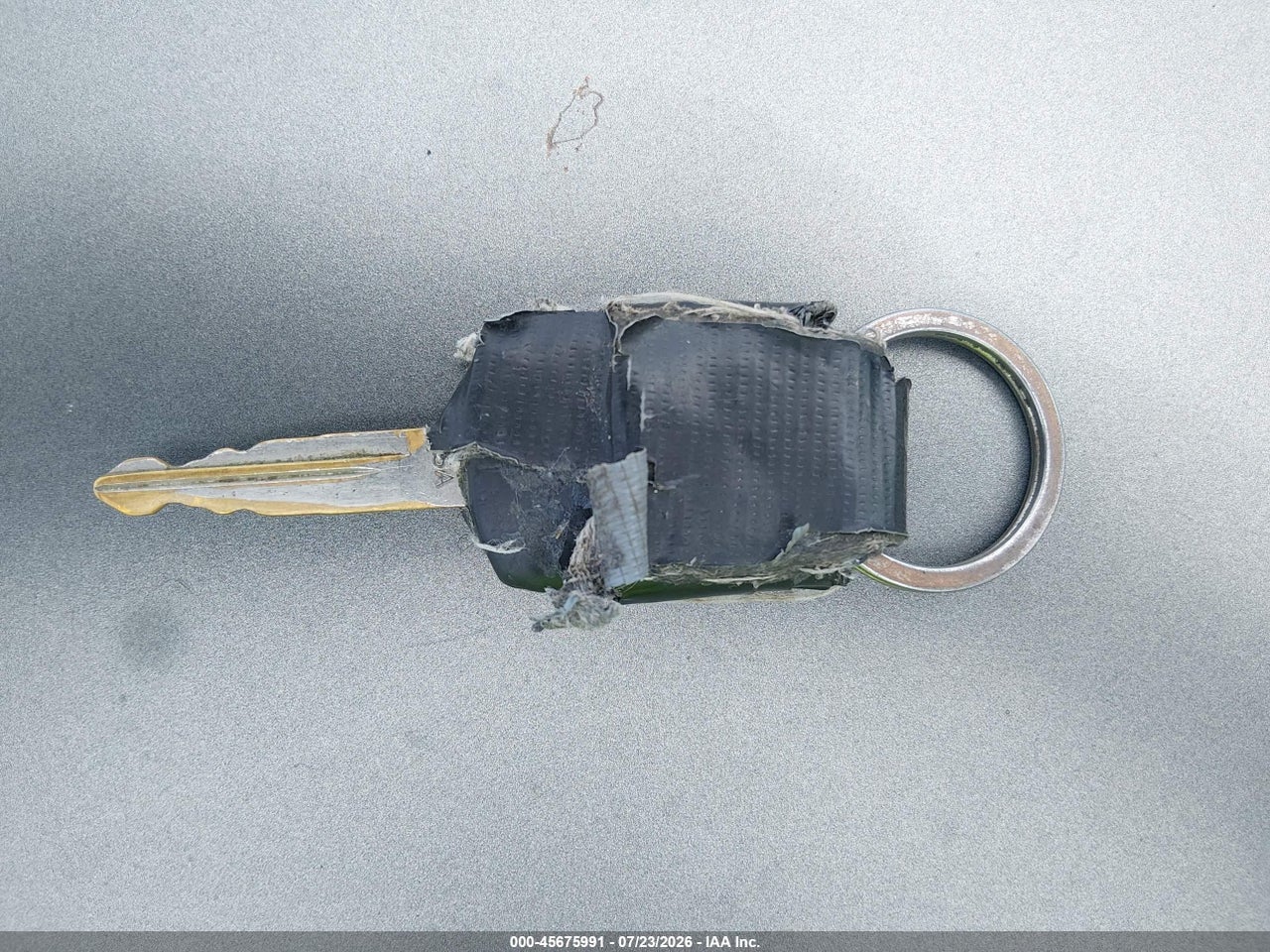 Image 11
