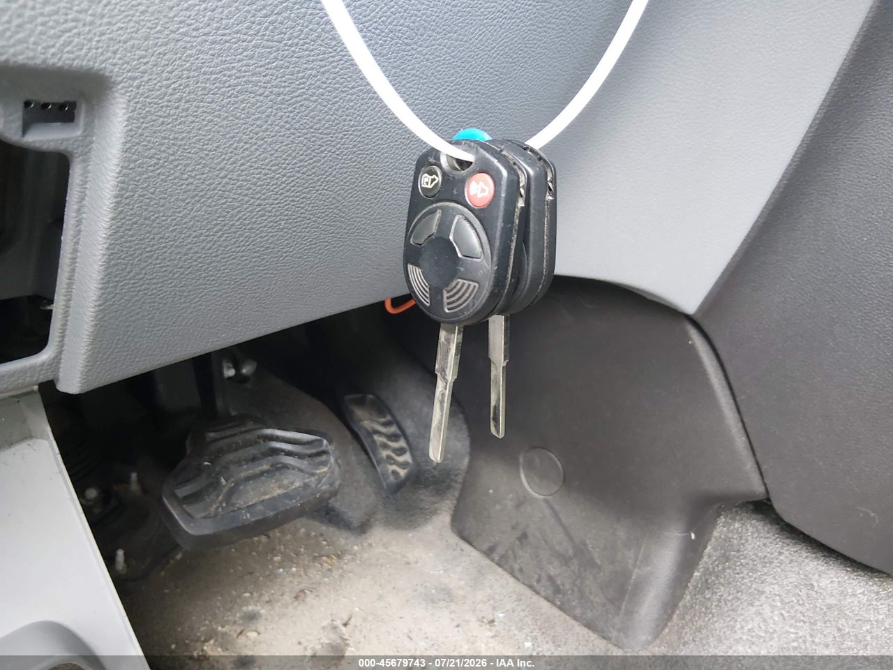 Image 11