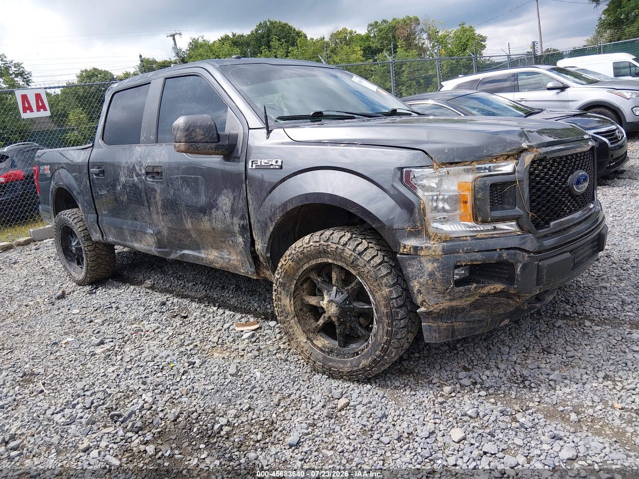 2019 Ford F-150