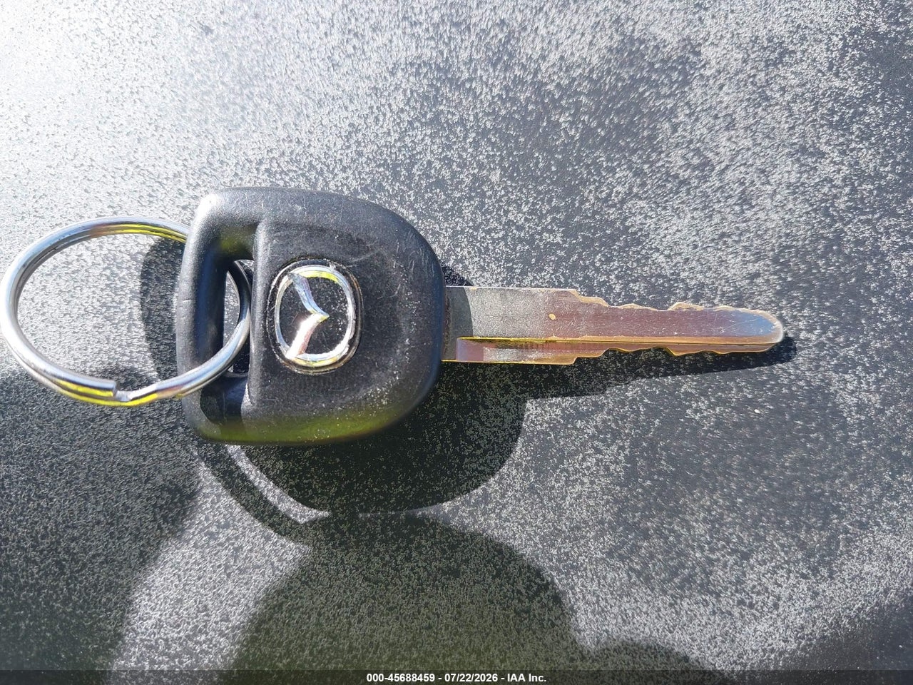 Image 11