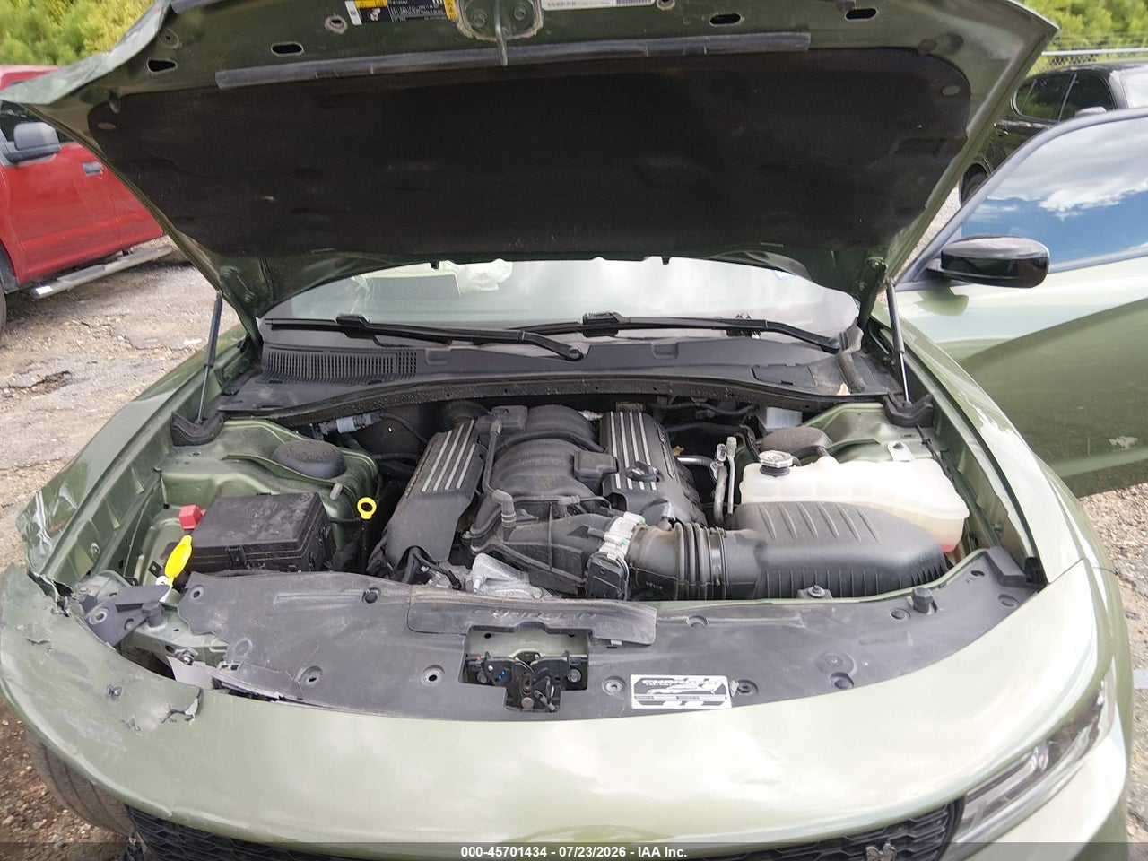 Image 10