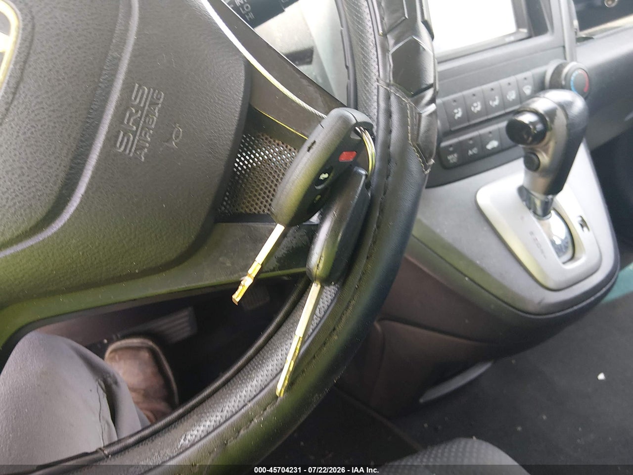 Image 11