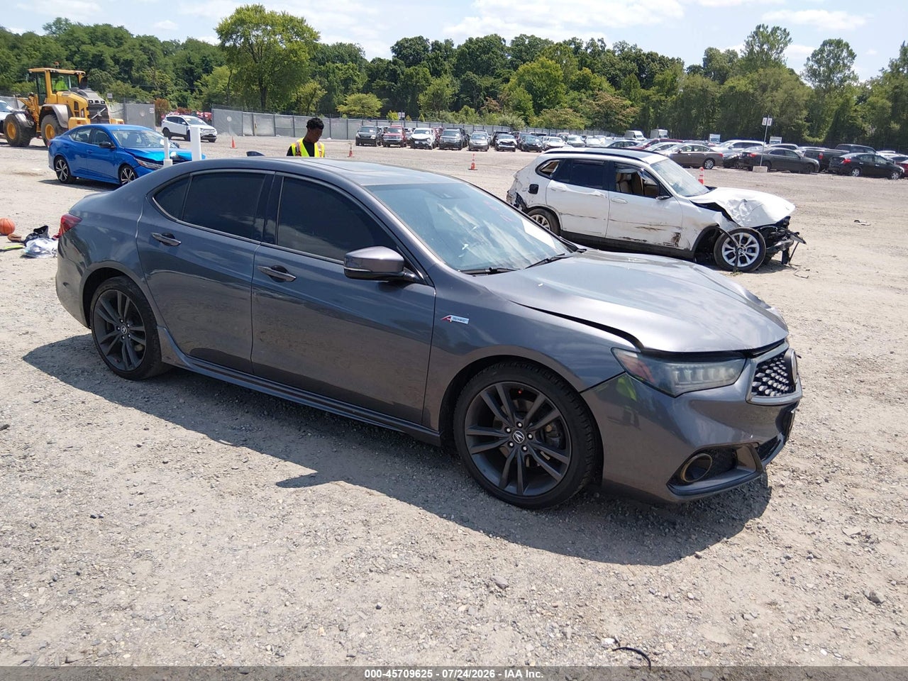 19UUB1F69KA****** · 2019 ACURA TLX TECH   A-SPEC PKGS