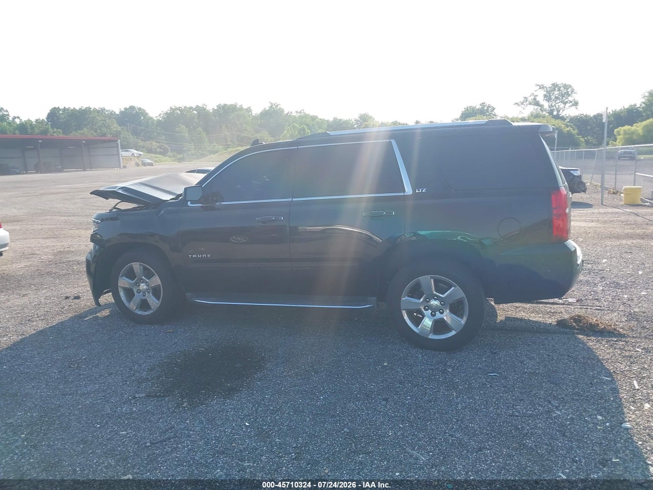 Image 14