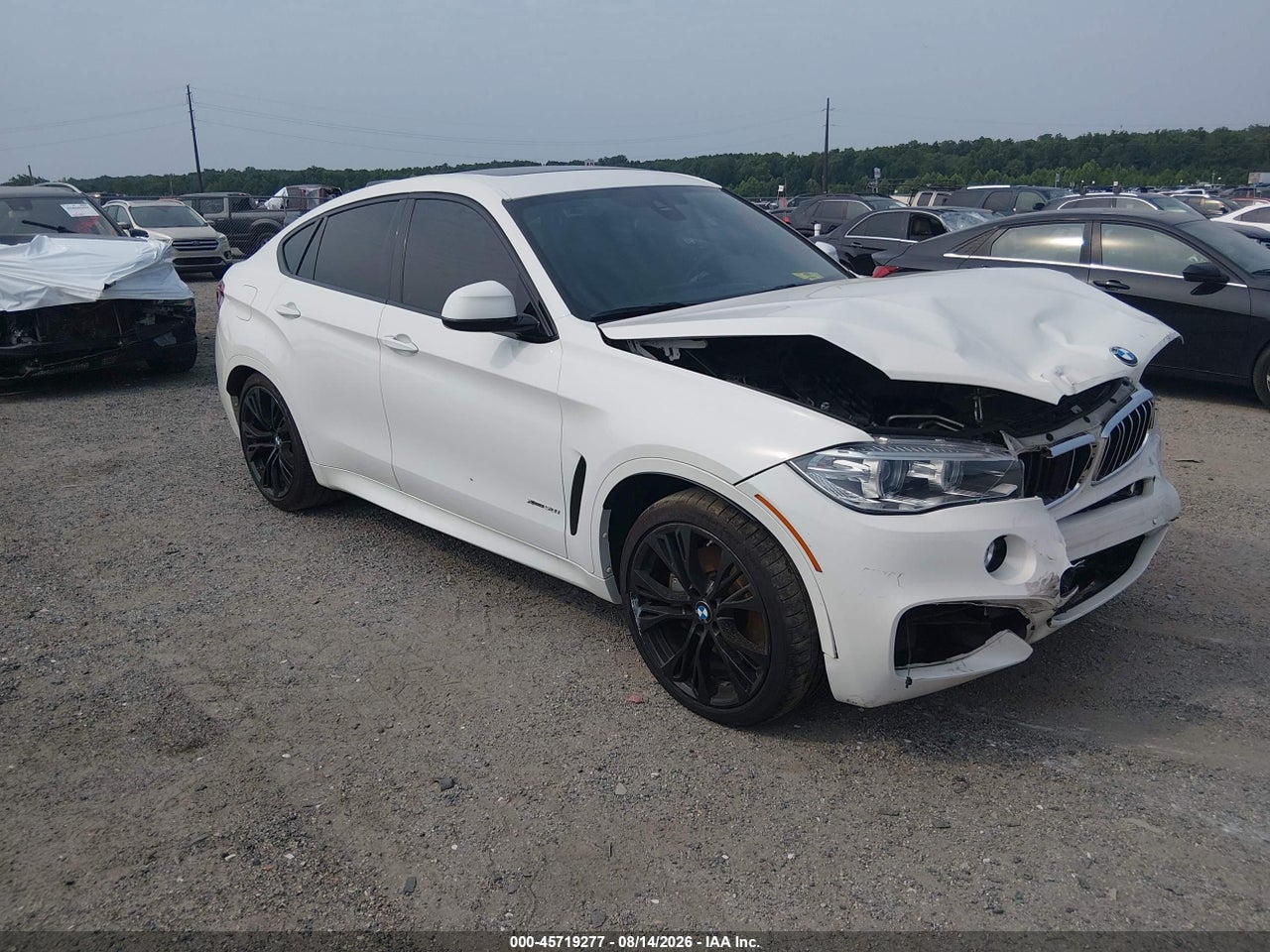 2019 BMW X6