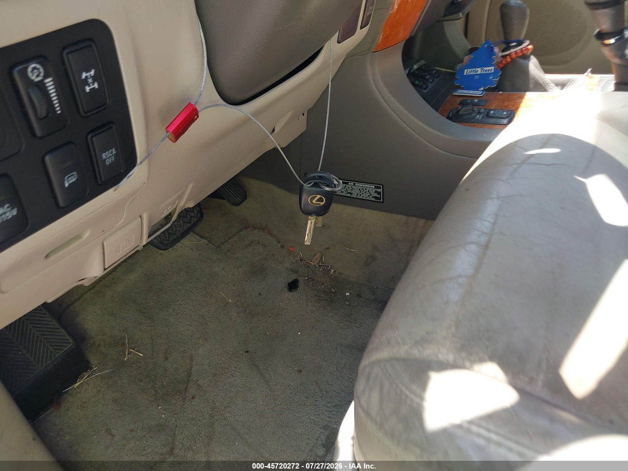 Image 11