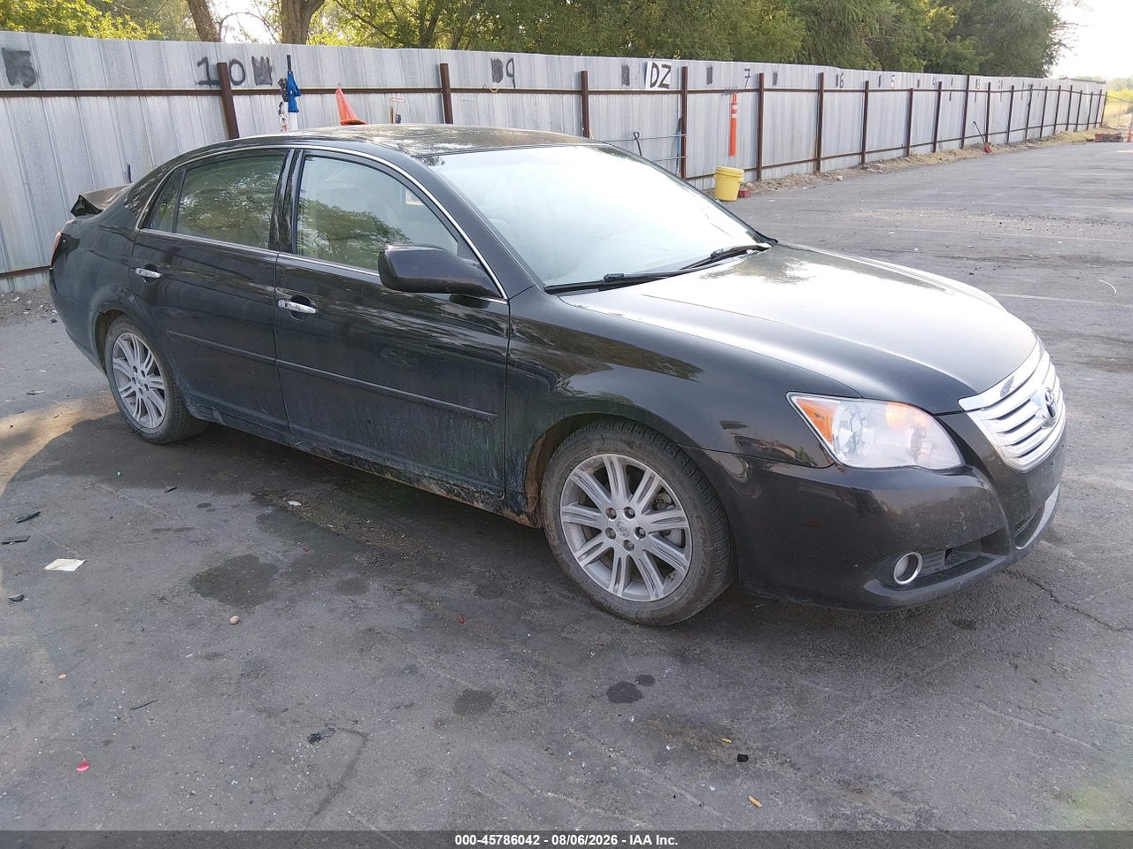 2009 Toyota Avalon