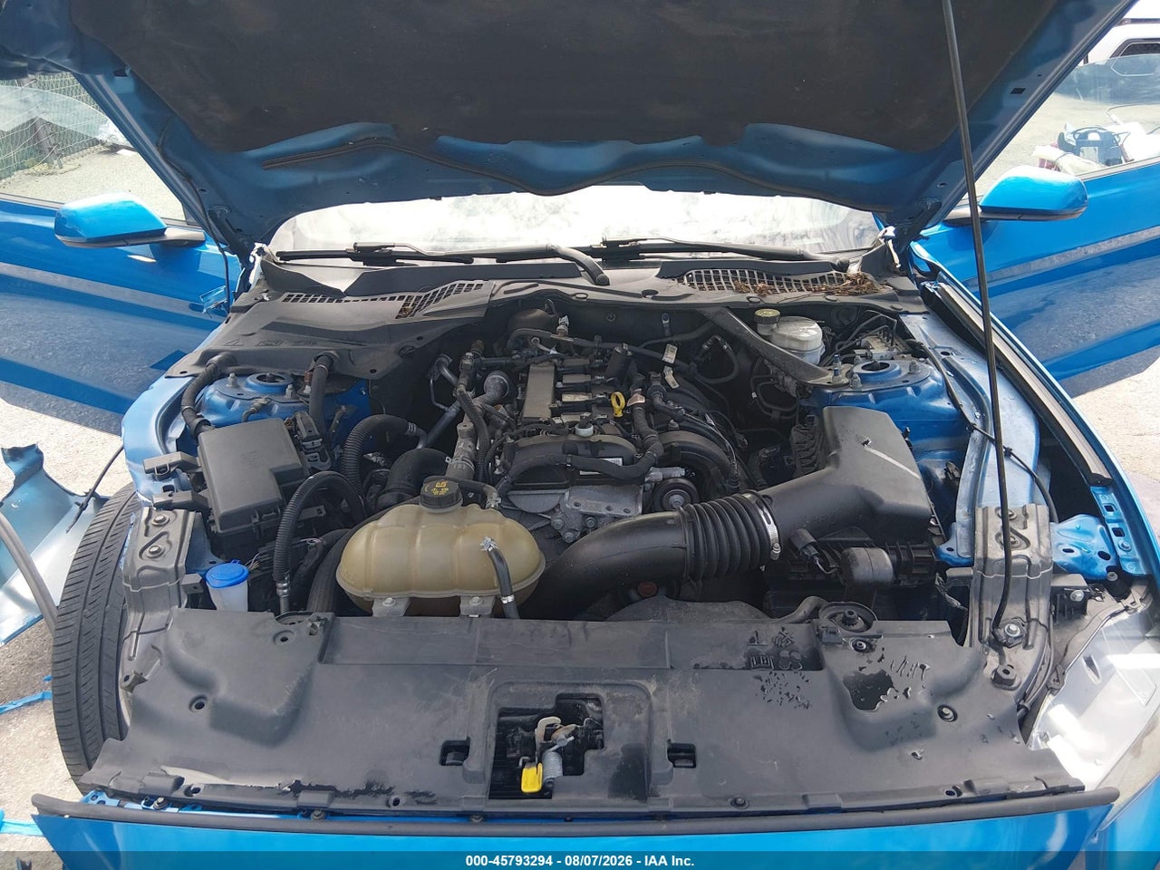 Image 10