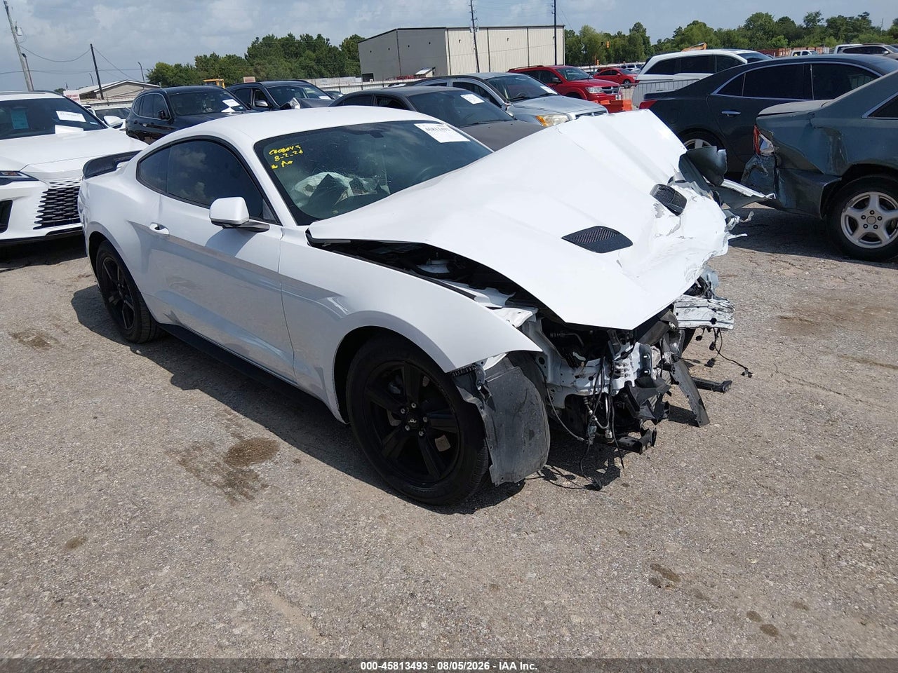 2019 Ford Mustang